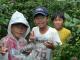 ICON�摜