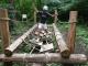 ICON�摜